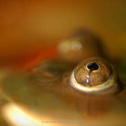 Photos of the week! April 14