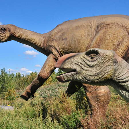 Field Station: Dinosaurs