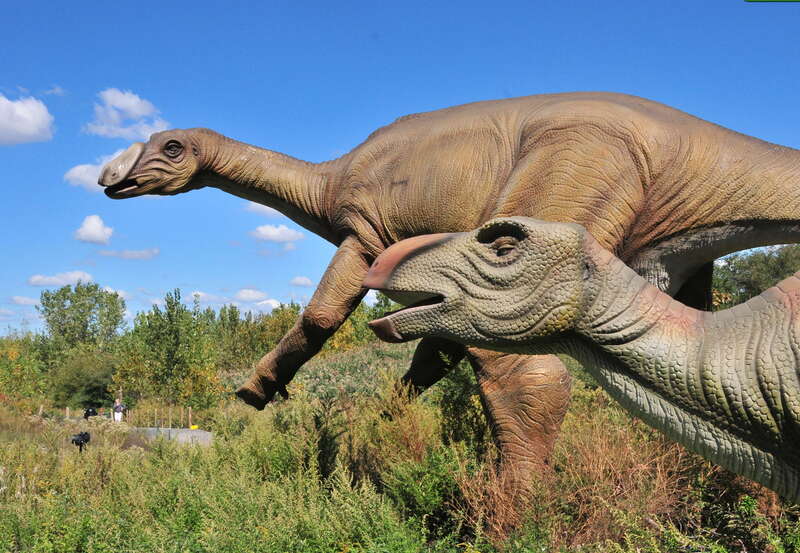 Field Station: Dinosaurs