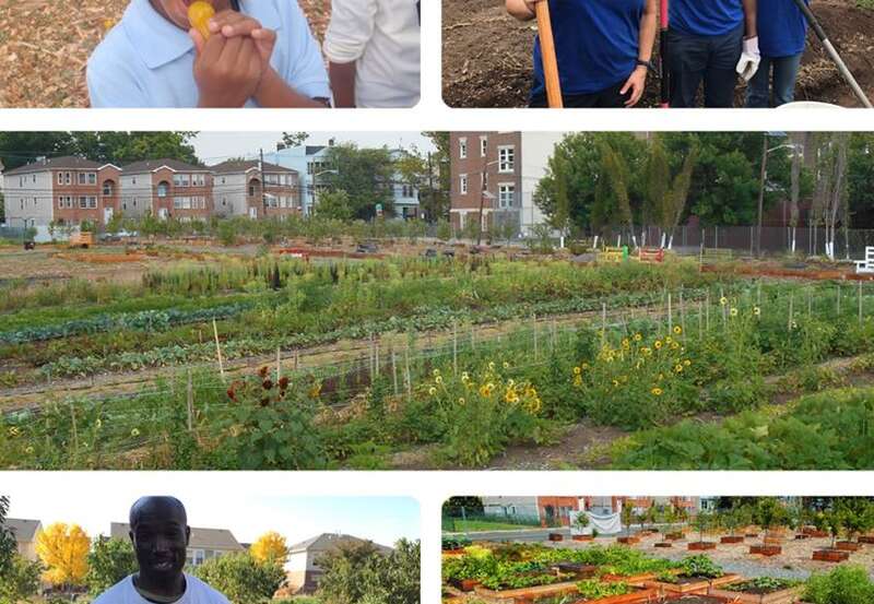 Greater Newark Conservancy