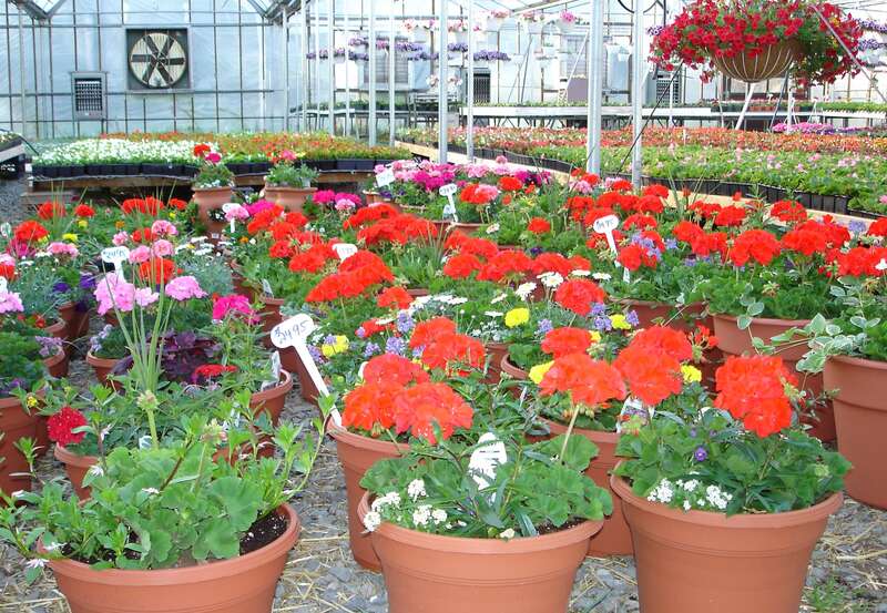 Fairfield Farms