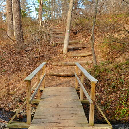 Watchung Reservation