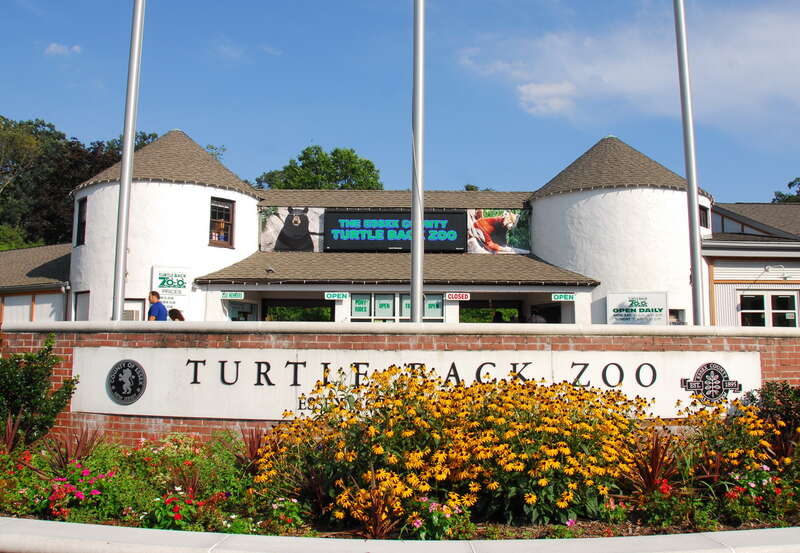Turtle Back Zoo