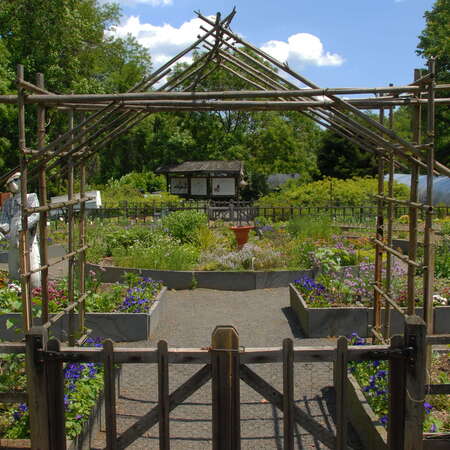Photos Of: Deep Cut Gardens - The Garden Section (2008) - 08/10/2013
