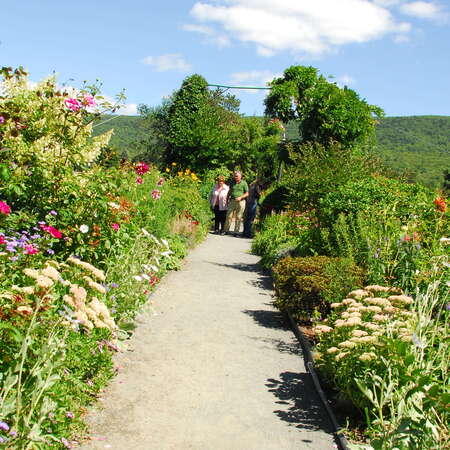 Bridge of Flowers