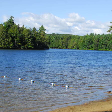 Photos Of: DAR State Forest - 07/09/2013