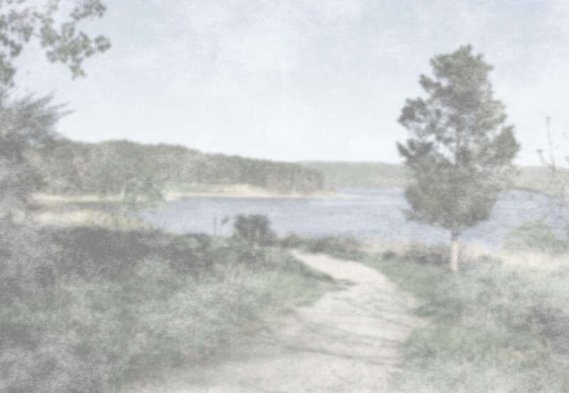 Anderson Park